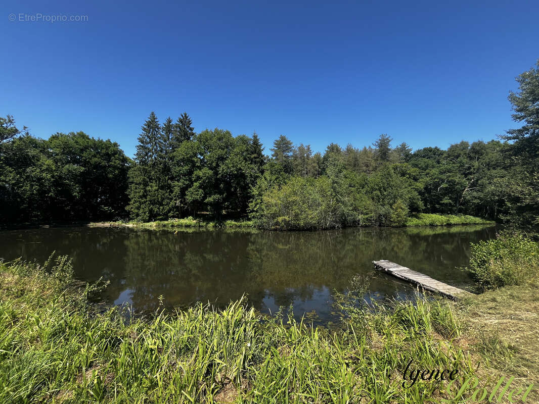 Maison à LAMOTTE-BEUVRON