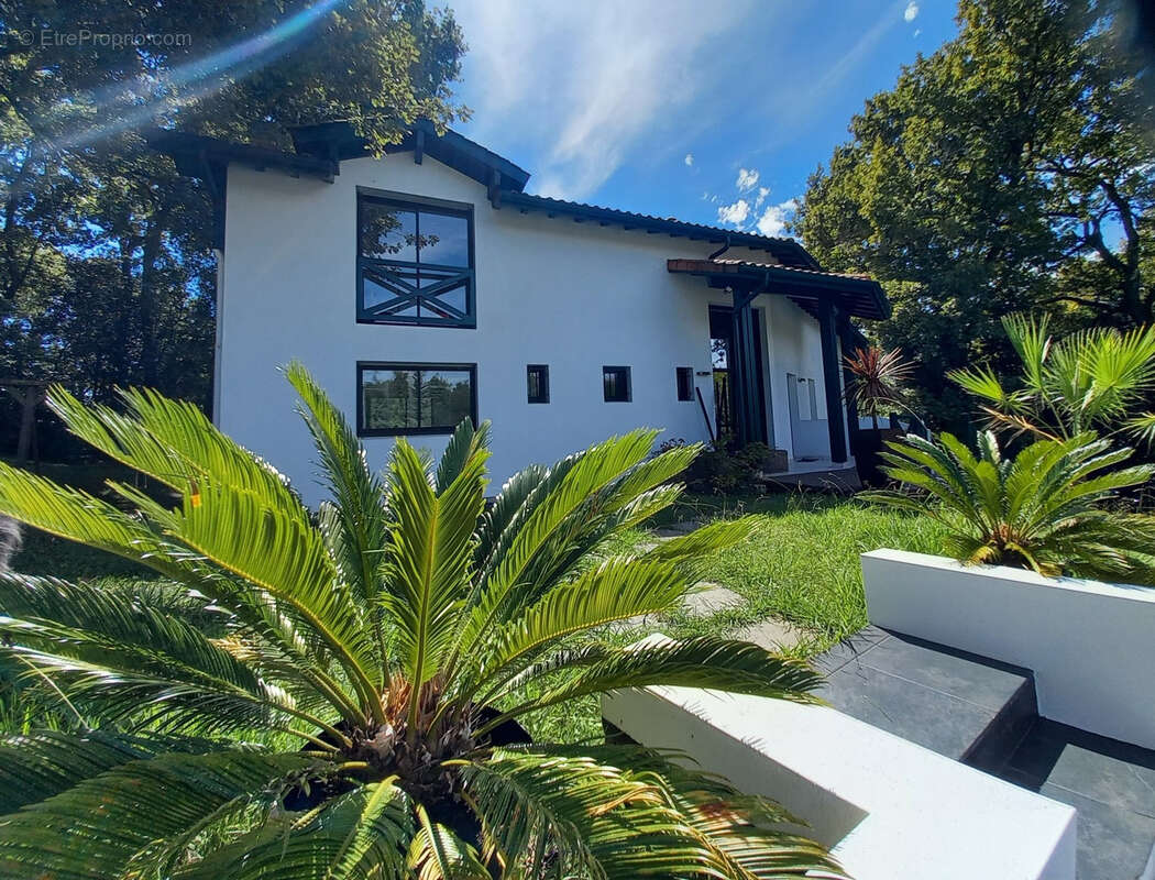 Maison à SAINT-PIERRE-D&#039;IRUBE