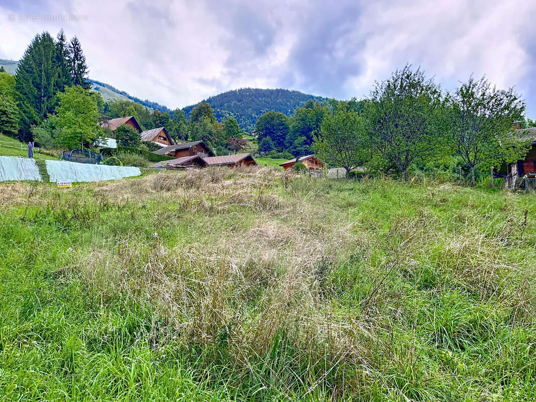 Terrain à LE BOUCHET