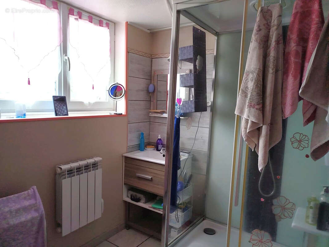 Maison à BELLERIVE-SUR-ALLIER