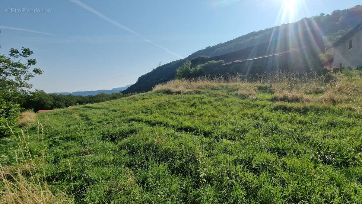 Terrain à SAINT-QUENTIN-SUR-ISERE