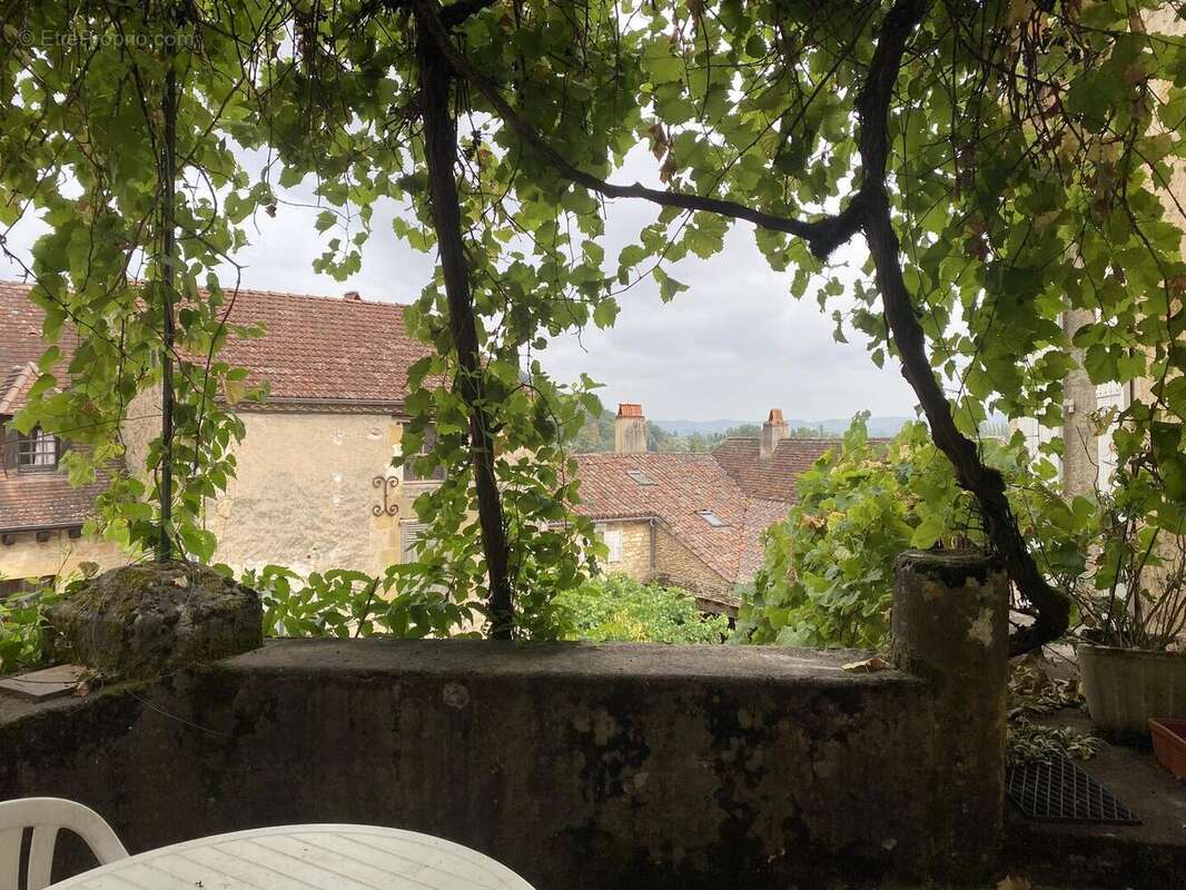 IMG8550 2 - Maison à SAINT-CYPRIEN