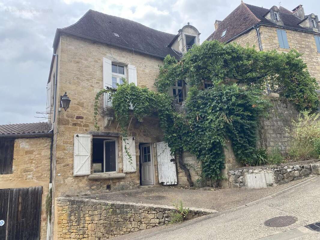 IMG8553 2 - Maison à SAINT-CYPRIEN