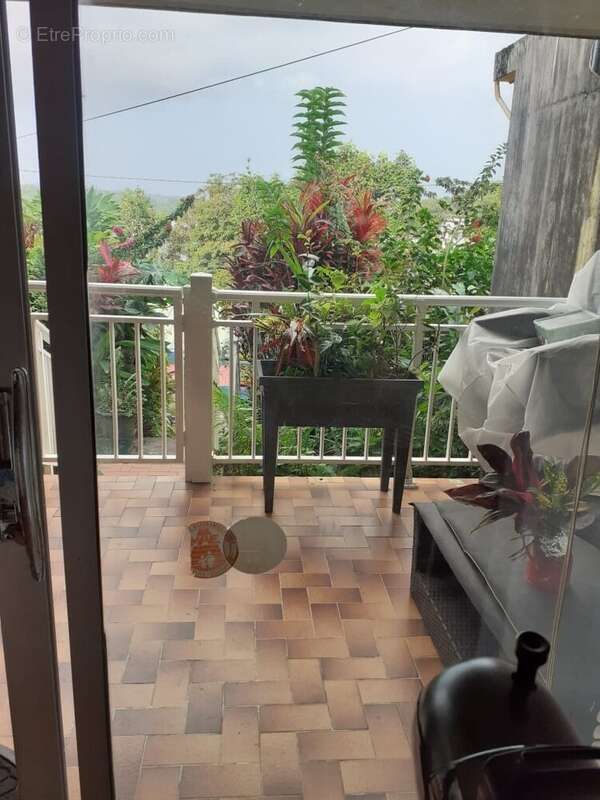 Maison à GROS-MORNE