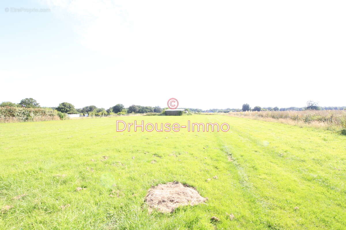 Terrain à LE THUIT-SIGNOL