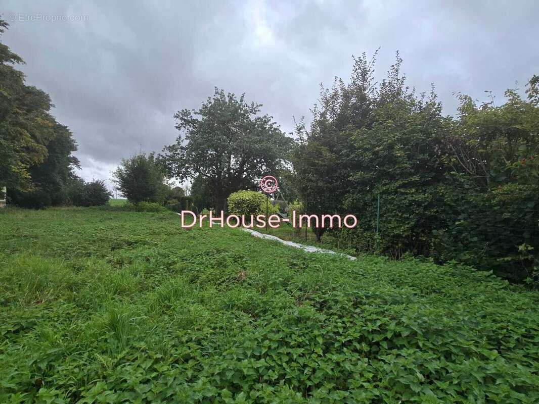 Terrain à ROYE