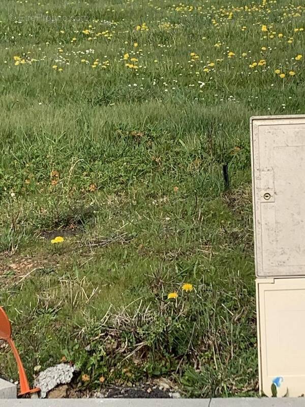 Terrain à ARTHON-EN-RETZ