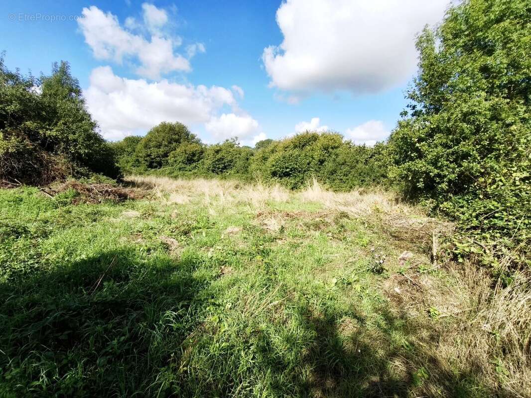 Maison à MONCOUTANT