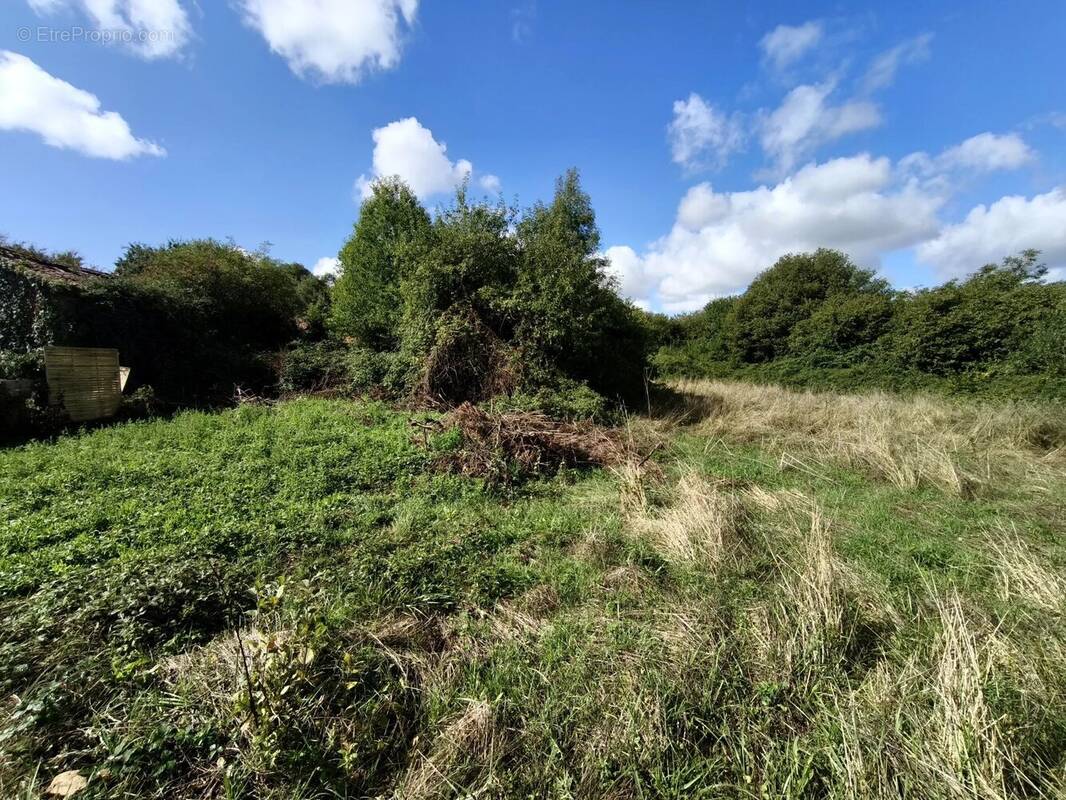 Maison à MONCOUTANT