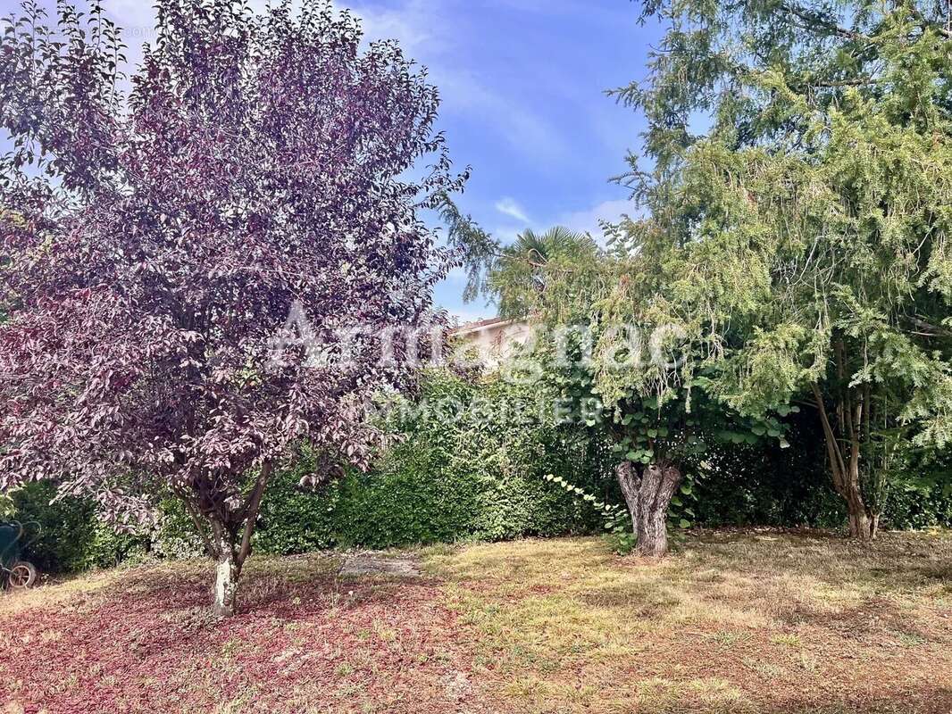 Maison à VIC-FEZENSAC