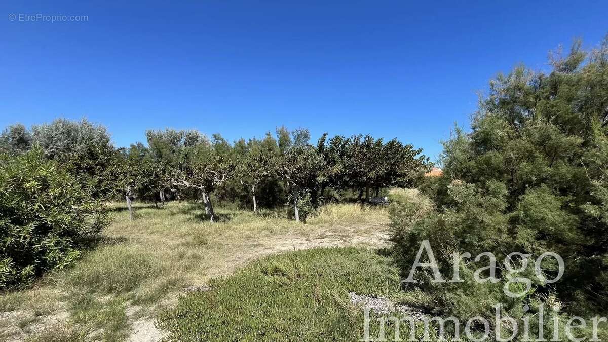 Maison à LE BARCARES