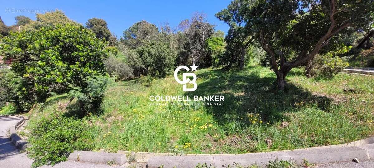 Terrain à RAYOL-CANADEL-SUR-MER