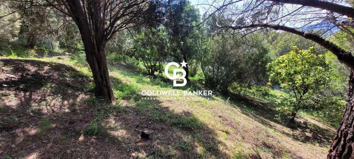 Terrain à RAYOL-CANADEL-SUR-MER