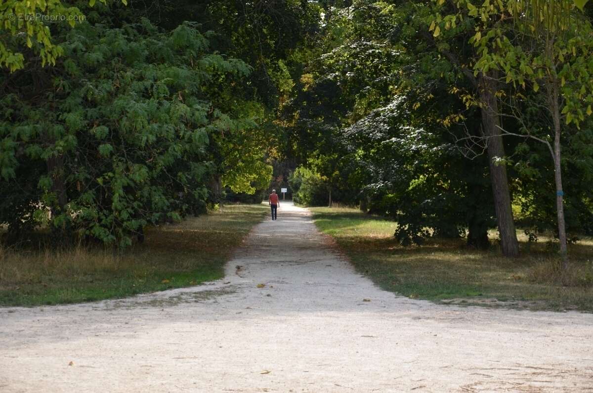 Appartement à JOINVILLE-LE-PONT