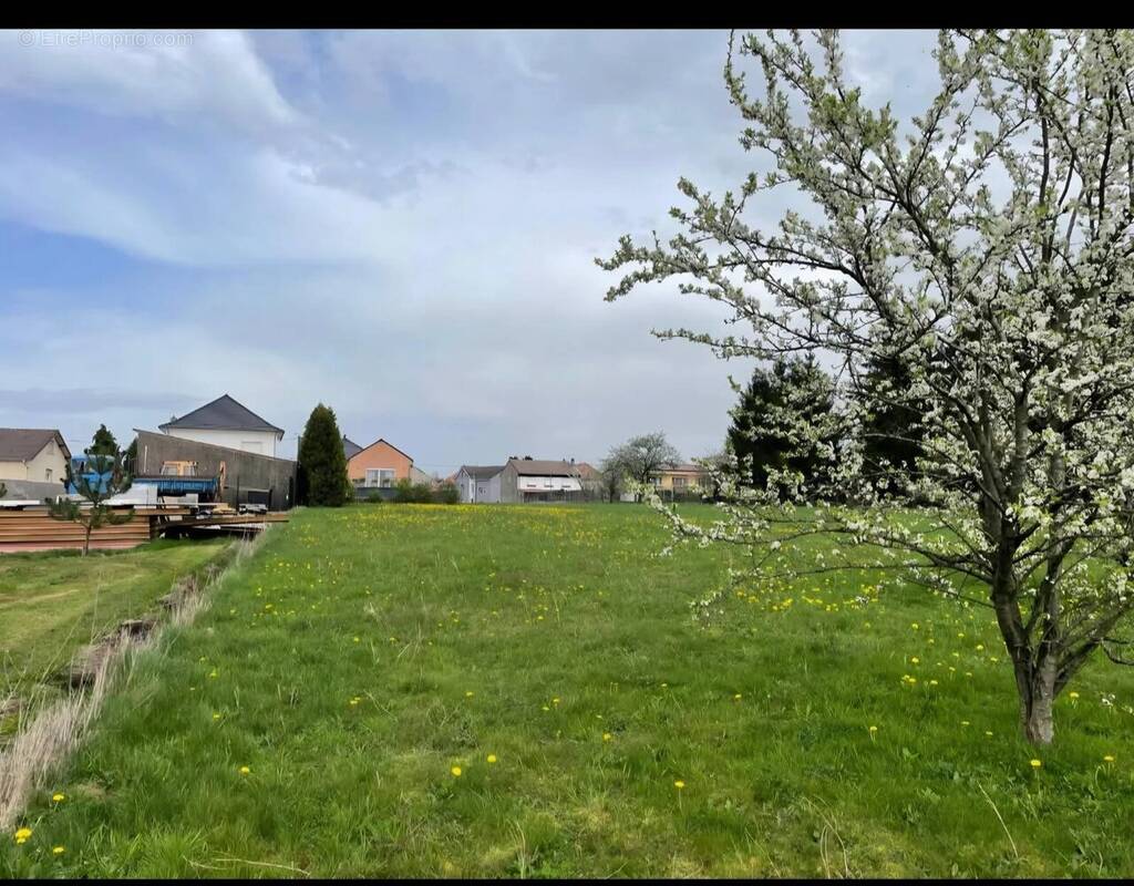 Terrain à HUSSIGNY-GODBRANGE