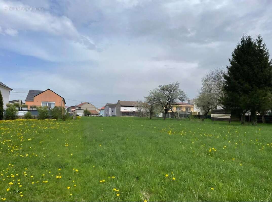 Terrain à HUSSIGNY-GODBRANGE