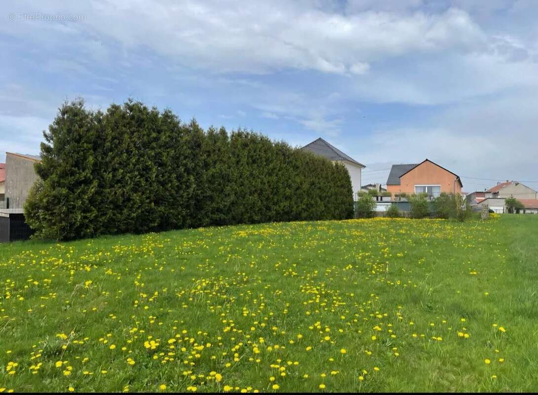 Terrain à HUSSIGNY-GODBRANGE