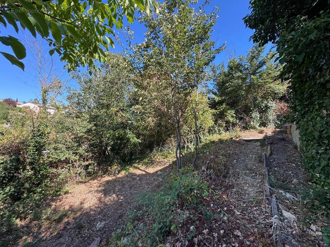   - Maison à SAINT-JEAN-DE-THOUARS