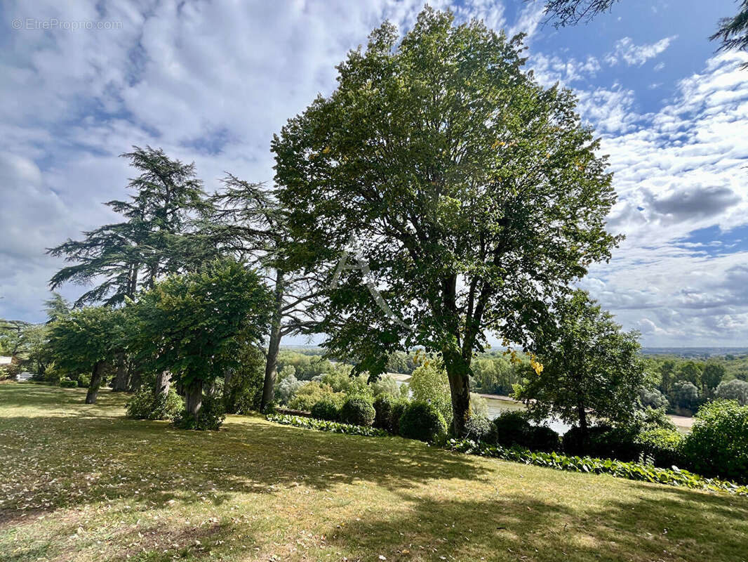 Maison à ROCHECORBON