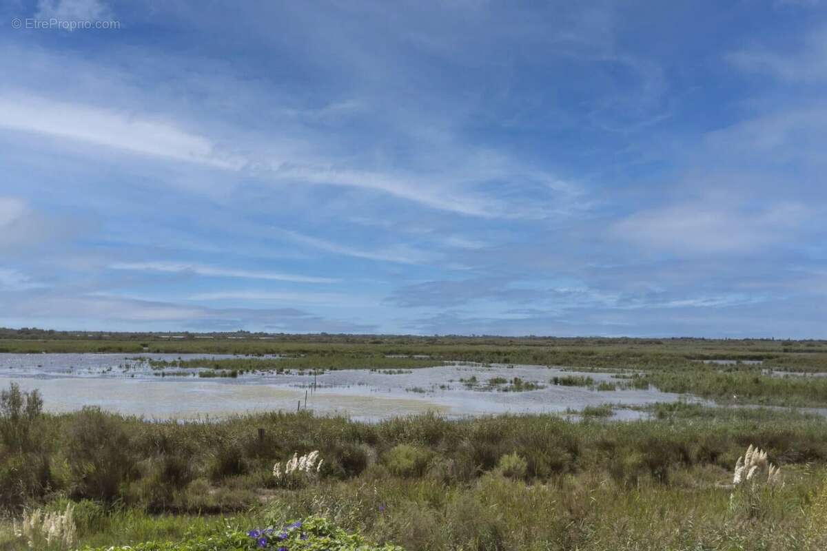 Maison à SAINTES-MARIES-DE-LA-MER