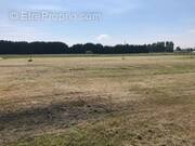 Terrain à NEUILLE-PONT-PIERRE