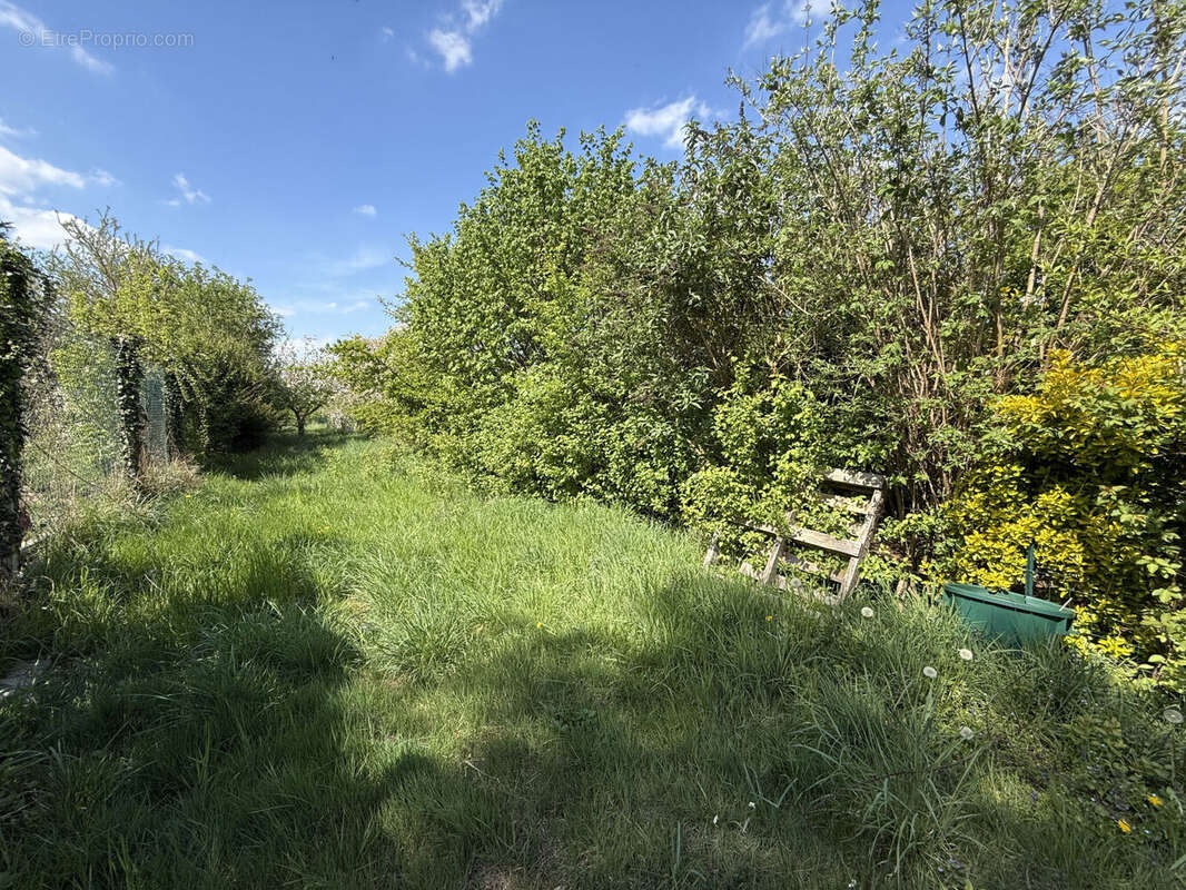 Photo 6 - Maison à AMIENS