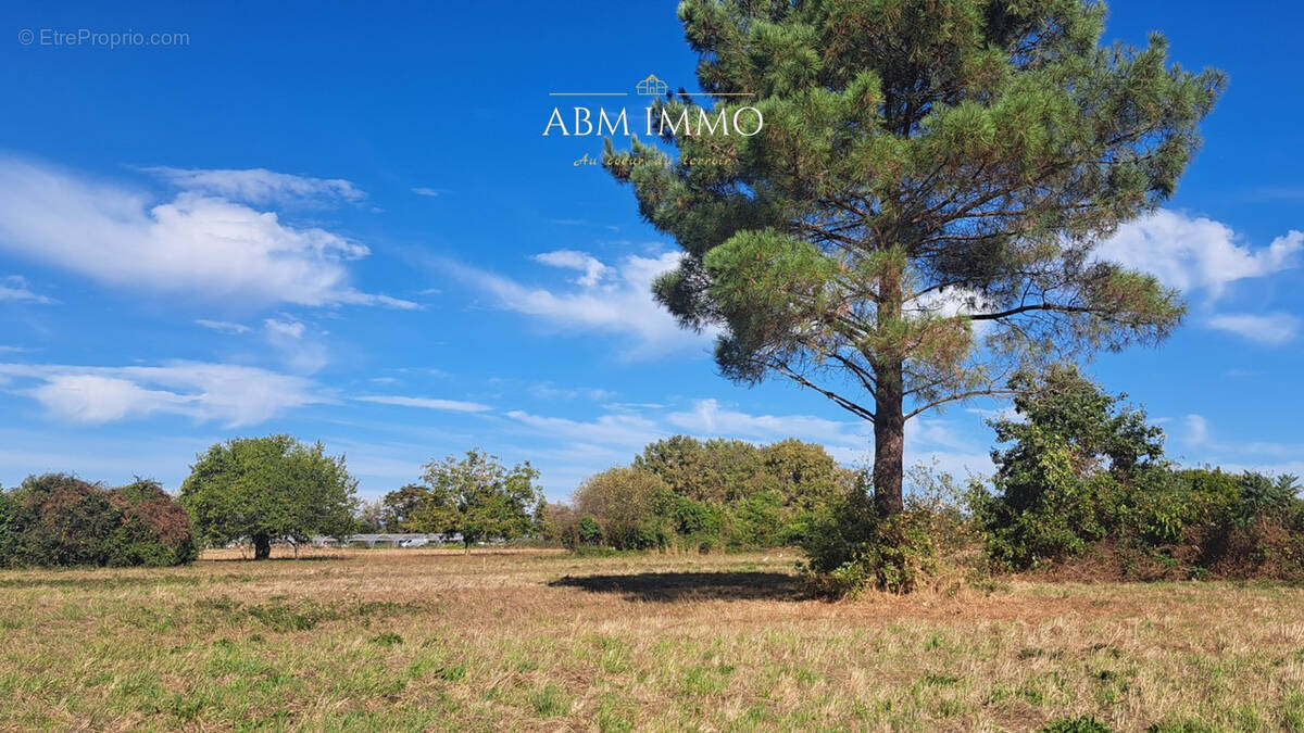 Terrain à SAINT-PIERRE-D&#039;EYRAUD