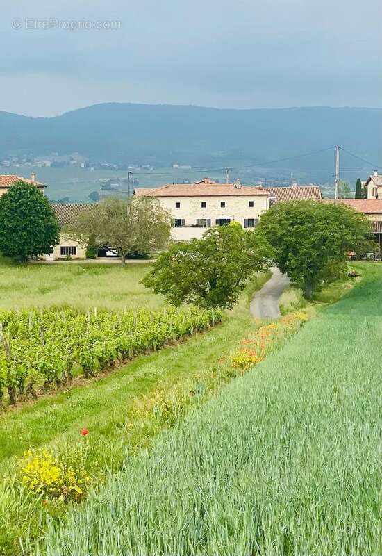 Photo 3 - Appartement à POMMIERS