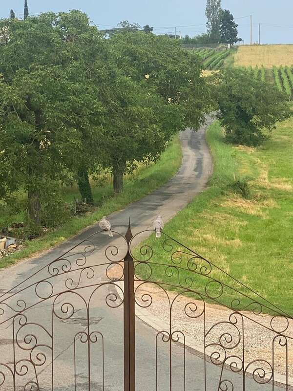 Photo 6 - Appartement à POMMIERS