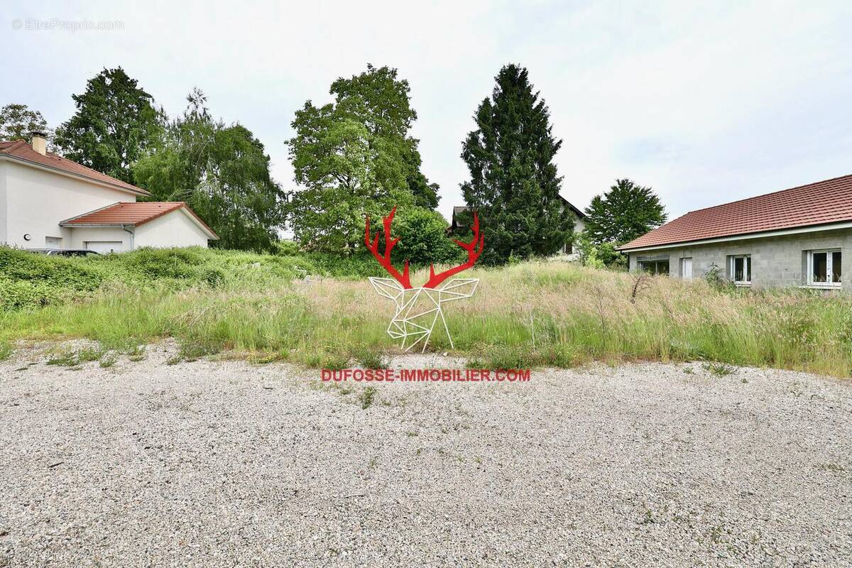 Photo 1 - Terrain à LES ABRETS