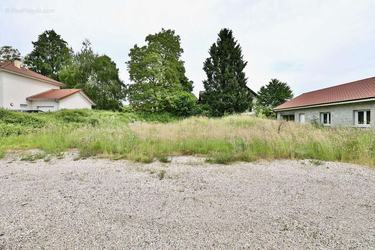 Photo 3 - Terrain à LES ABRETS