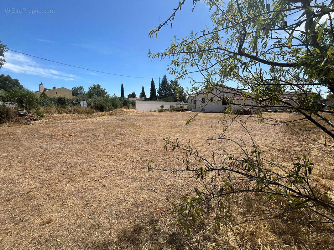 Photo 3 - Terrain à LAURIS