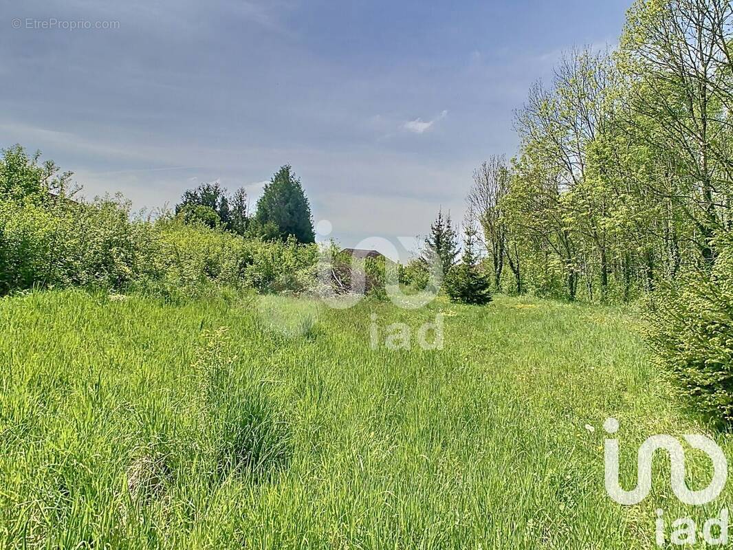 Photo 1 - Terrain à PLEURS