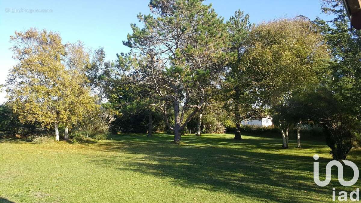 Photo 5 - Maison à BRETTEVILLE-SUR-AY