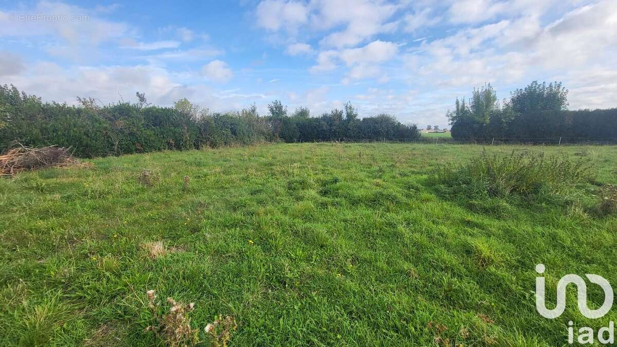 Photo 2 - Terrain à PANNES