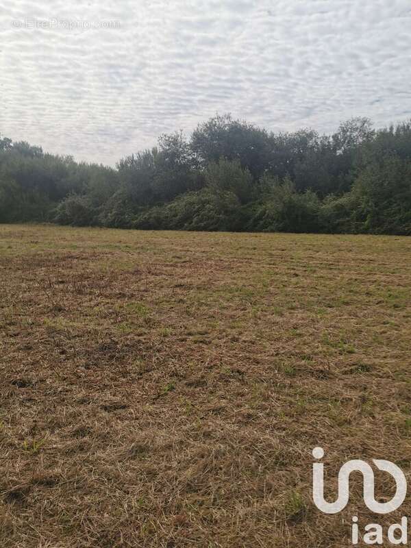 Photo 3 - Terrain à HINX