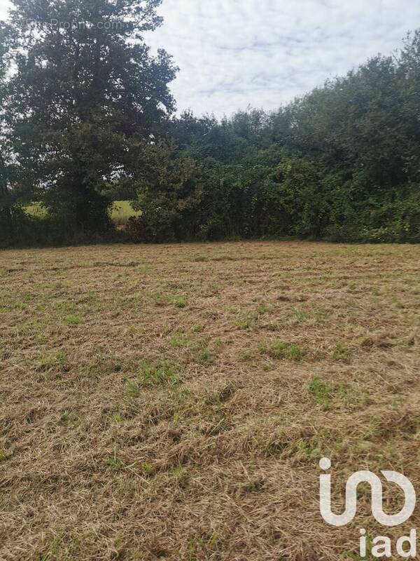 Photo 1 - Terrain à HINX