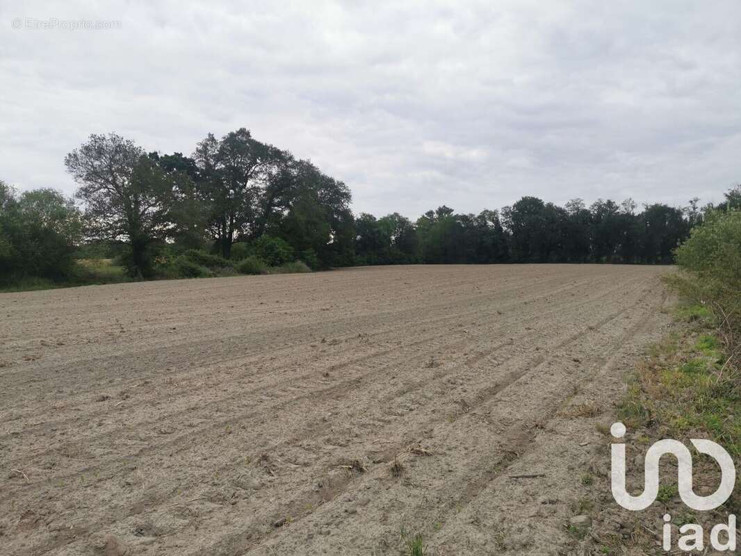 Photo 2 - Terrain à HINX