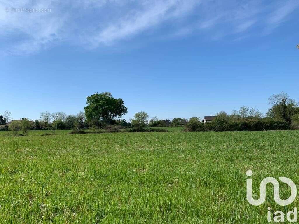 Photo 2 - Terrain à HINX