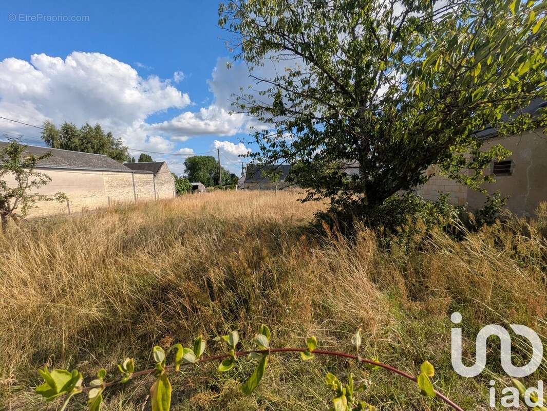 Photo 2 - Terrain à RESTIGNE