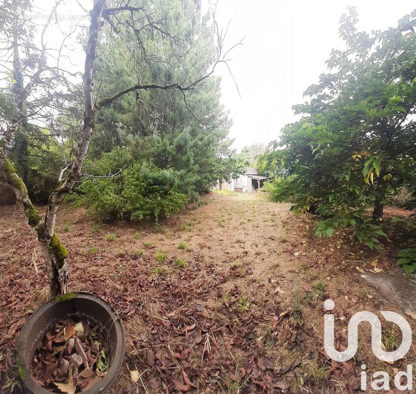 Photo 1 - Maison à FAYE-L&#039;ABBESSE