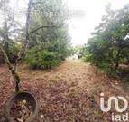 Photo 1 - Maison à FAYE-L&#039;ABBESSE