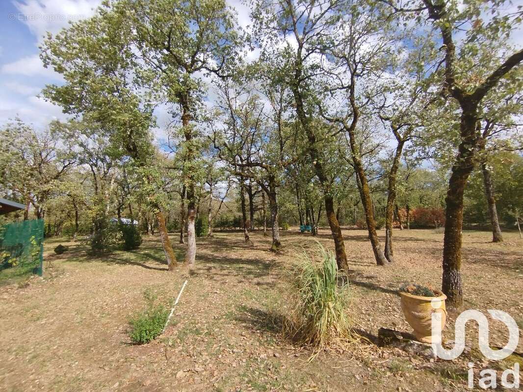 Photo 4 - Maison à NADAILLAC