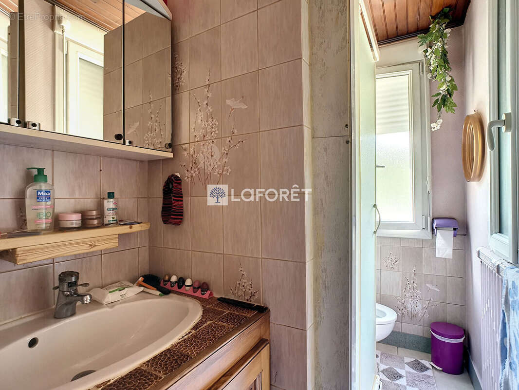 Maison à LE MALZIEU-VILLE