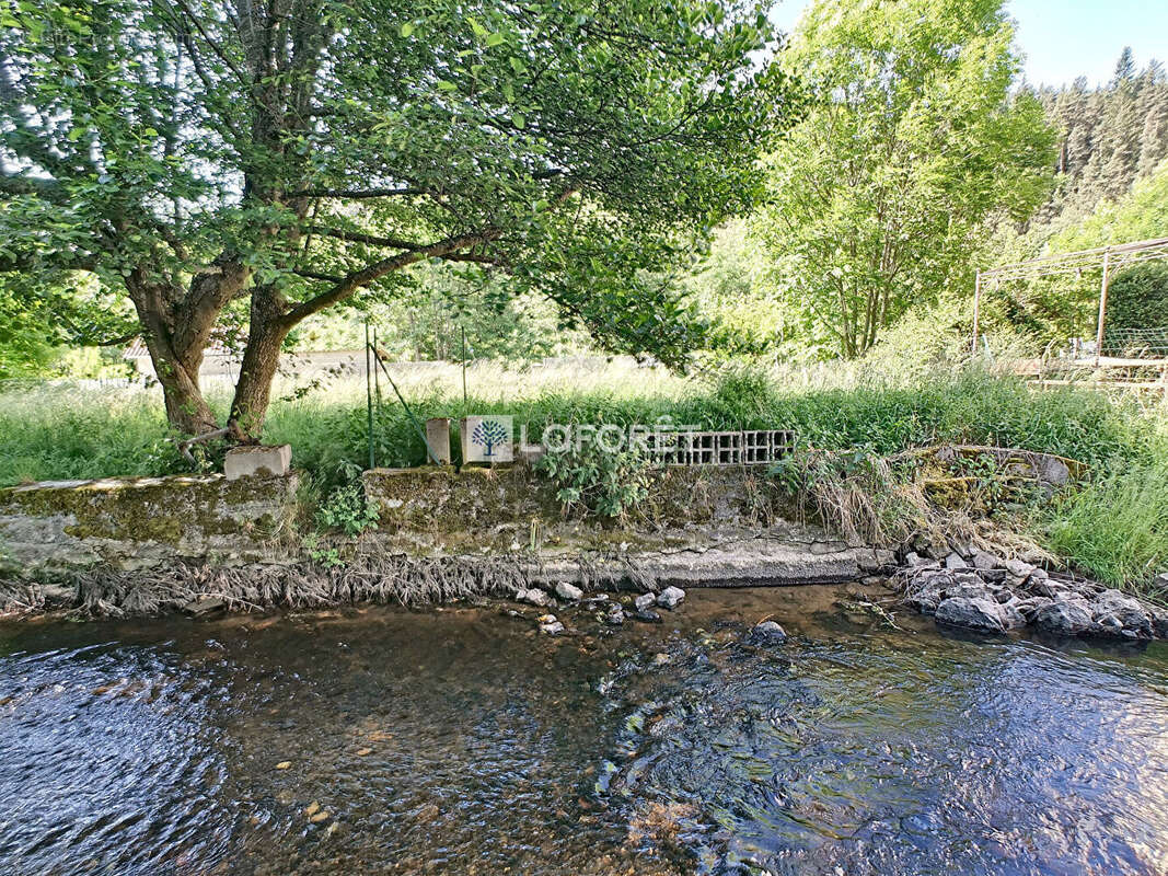 Maison à LE MALZIEU-VILLE