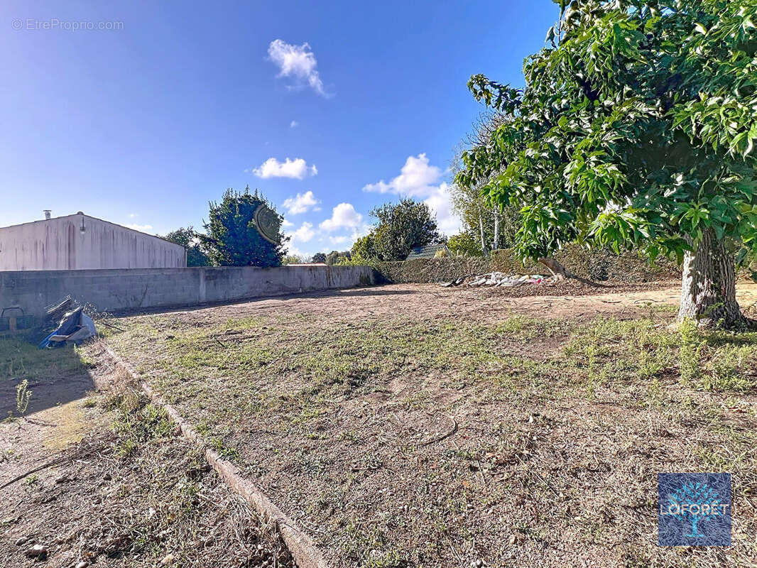 Maison à NOTRE-DAME-DE-RIEZ