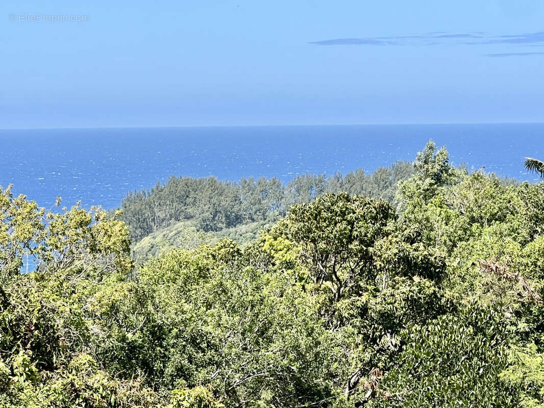 Maison à SAINT-JOSEPH