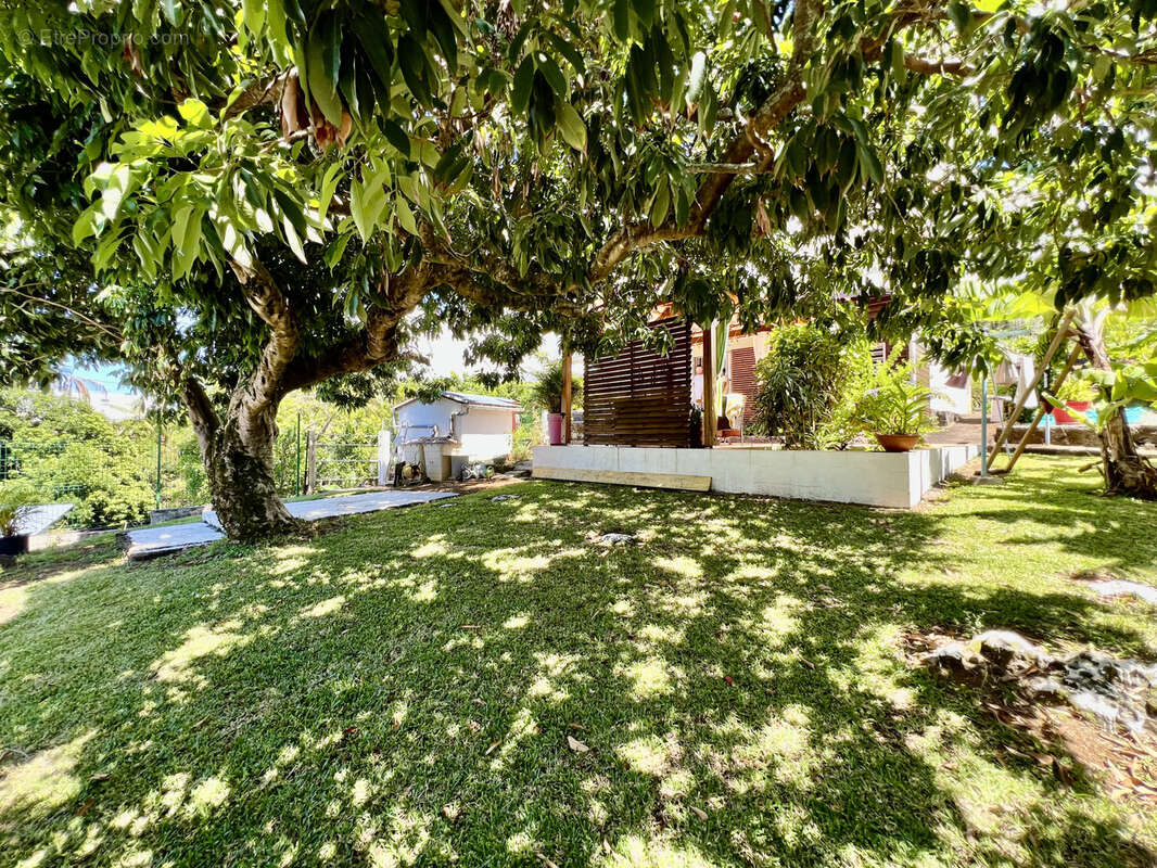 Maison à SAINT-JOSEPH