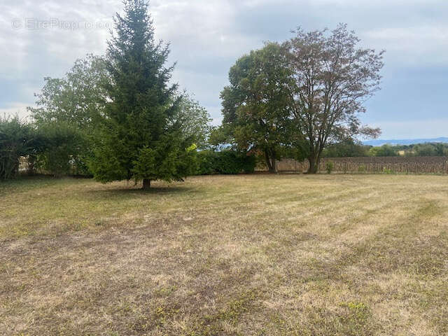 Maison à SAINT-ANDRE-LE-COQ