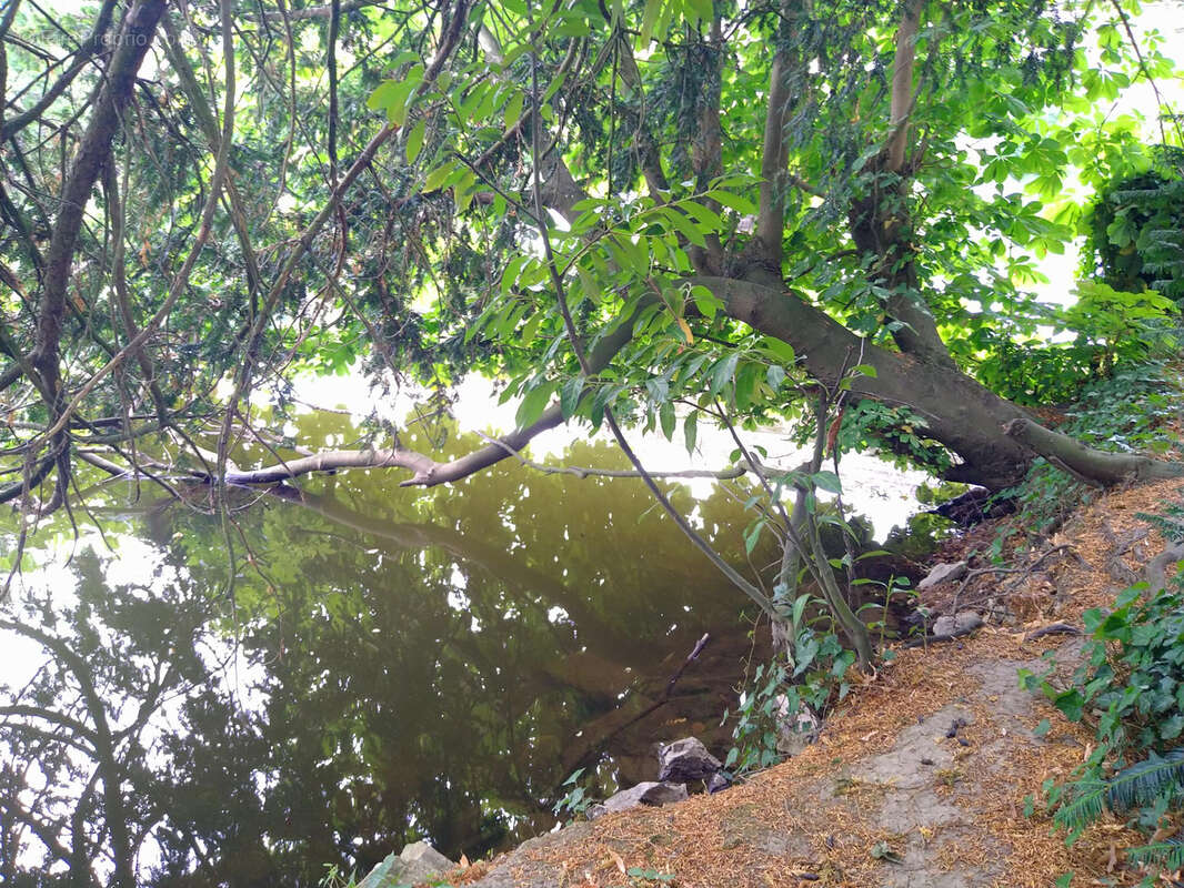 Terrain à SAINT-AUBIN-DE-LOCQUENAY